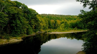 Maine mostrando un río o arroyo y paisajes forestales