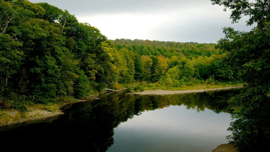 Maine featuring forest scenes and a river or creek