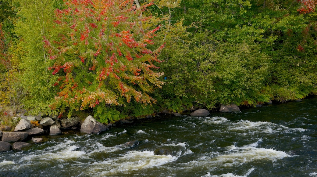 New Hampshire which includes a river or creek