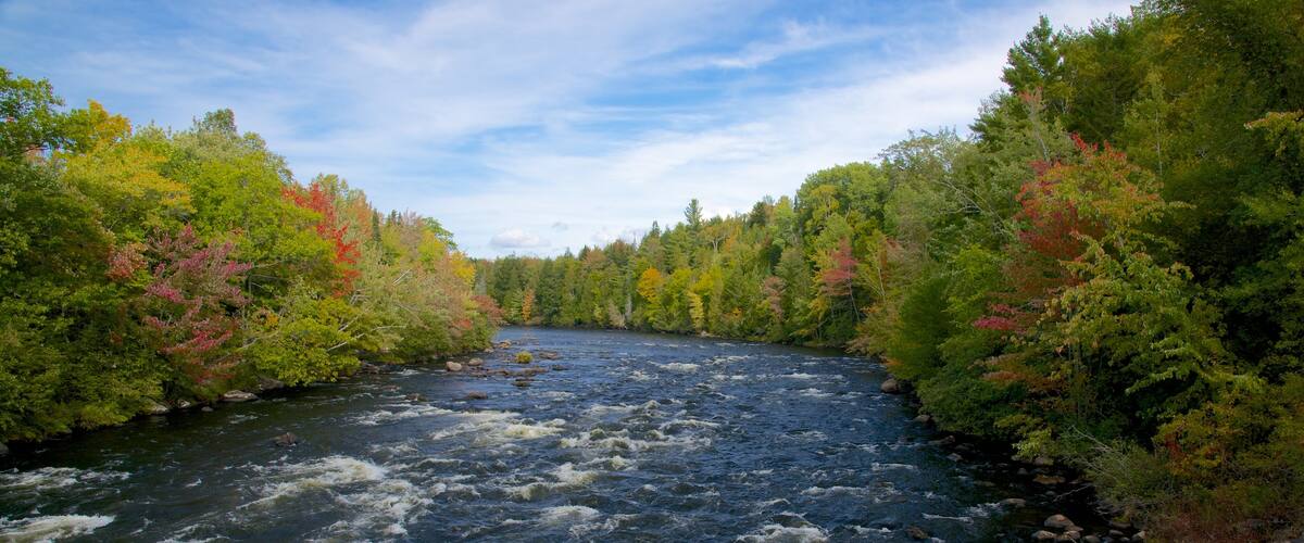 New Hampshire joka esittää metsänäkymät ja joki tai puro