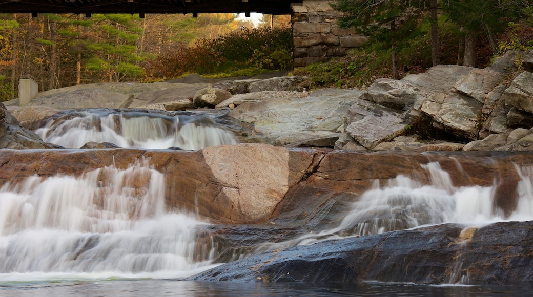 New Hampshire toont een rivier of beek