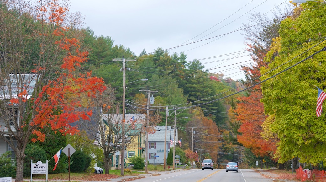 New Hampshire ofreciendo hojas de otoño