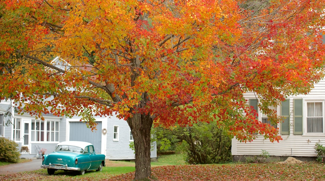 New Hampshire mostrando una casa y colores de otoño