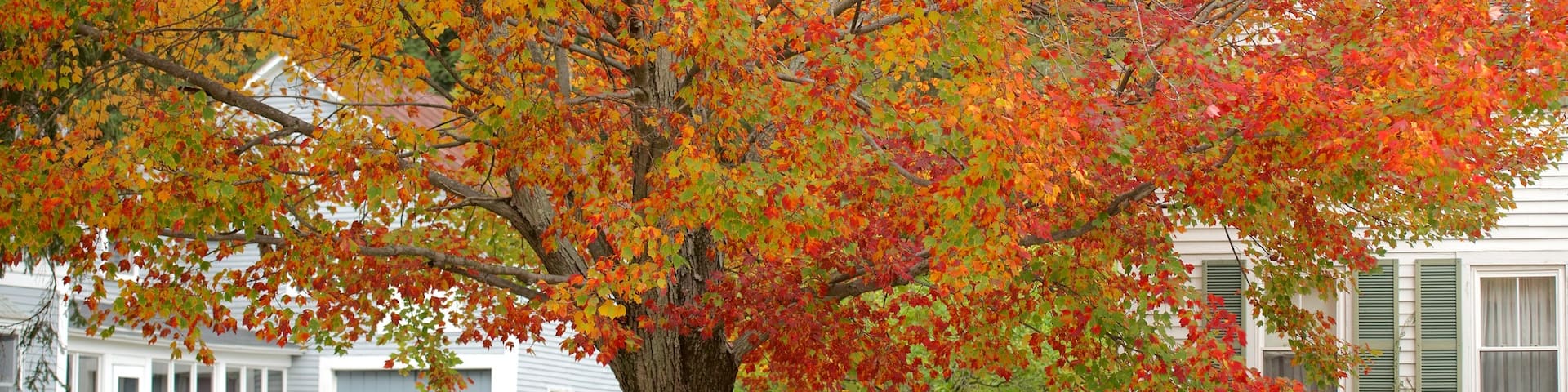 New Hampshire which includes autumn leaves and a house