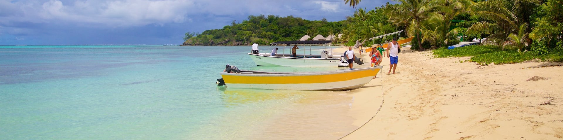 Mana Island which includes a sandy beach