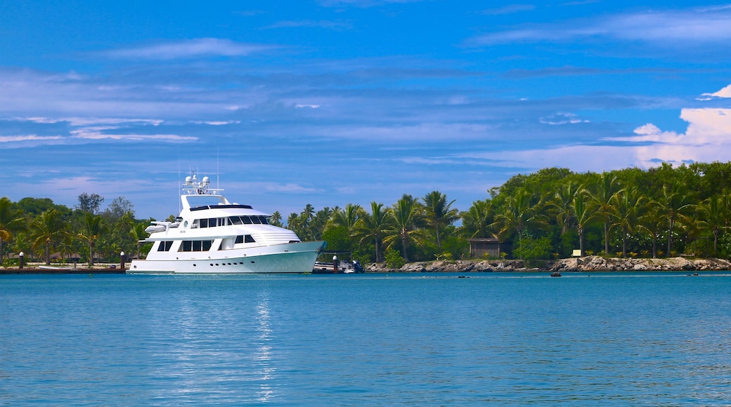 Malolo Lailai Island showing boating and tropical scenes