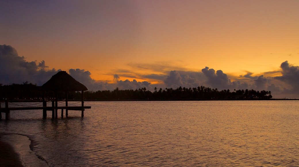 Musket Cove Marina which includes a sunset and general coastal views