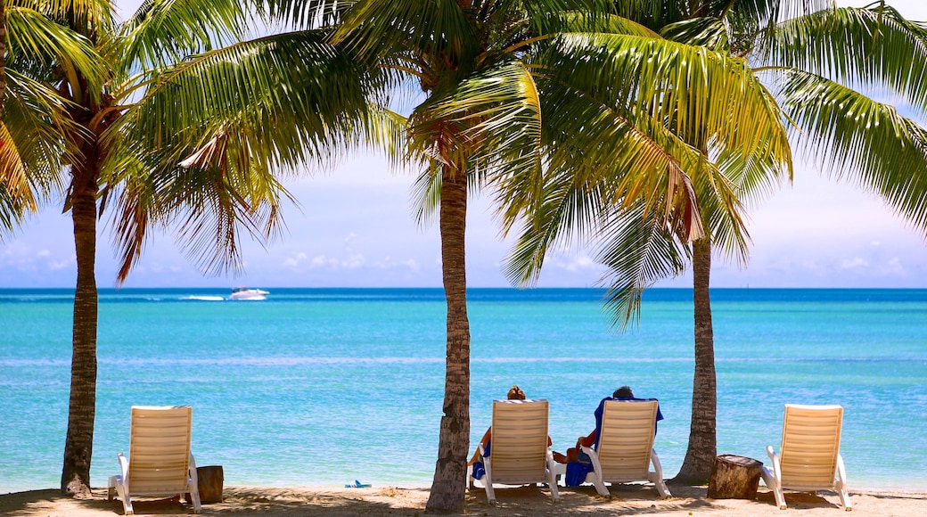 Musket Cove Marina featuring a sandy beach and tropical scenes as well as a couple