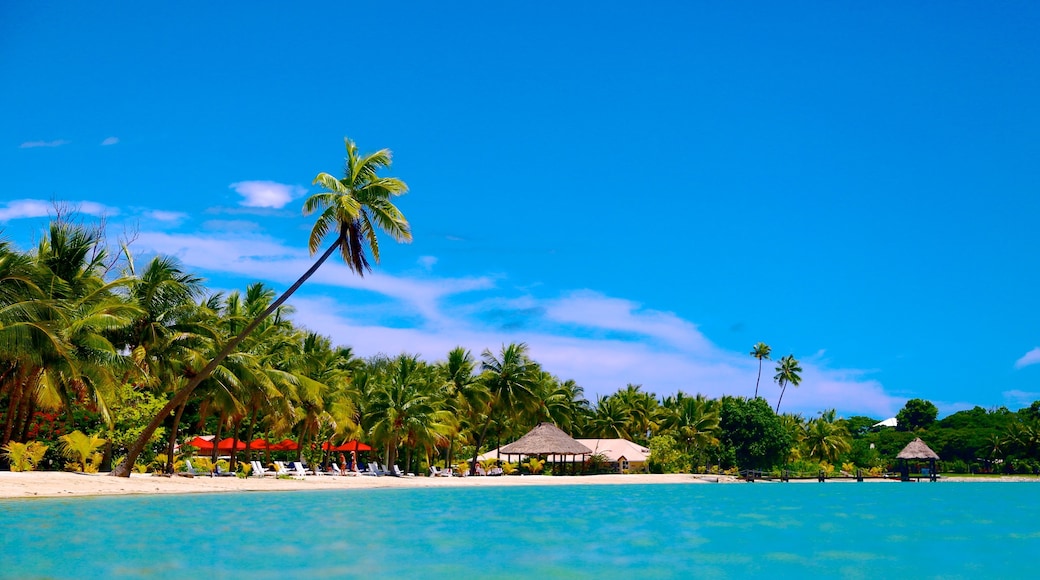 Musket Cove Marina which includes a sandy beach and tropical scenes