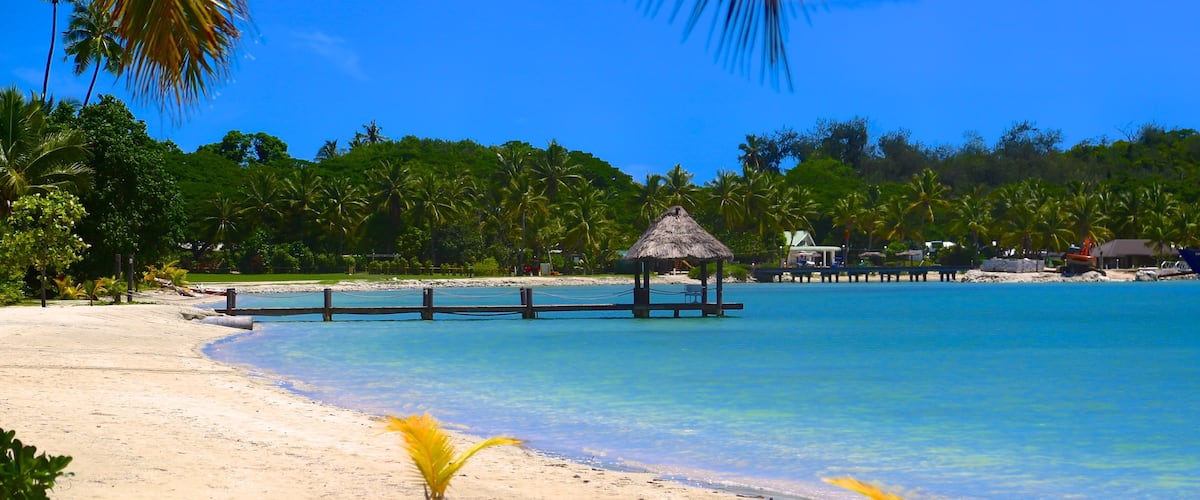 Musket Cove que incluye una playa y escenas tropicales