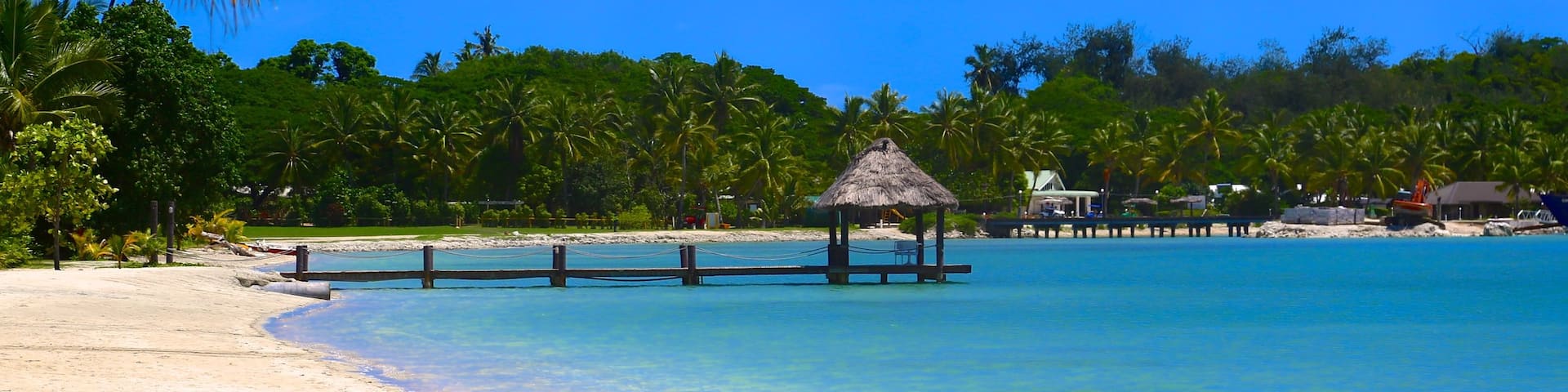 Musket Cove Marina which includes a beach and tropical scenes