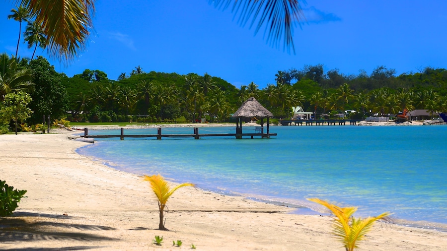 Musket Cove che include paesaggio tropicale e spiaggia sabbiosa