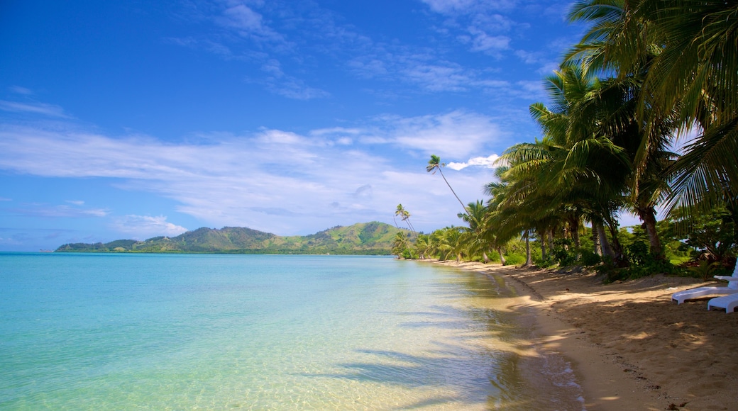 Musket Cove Marina featuring tropical scenes and a sandy beach