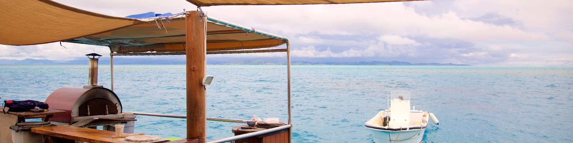 Fiji showing boating and swimming as well as an individual male