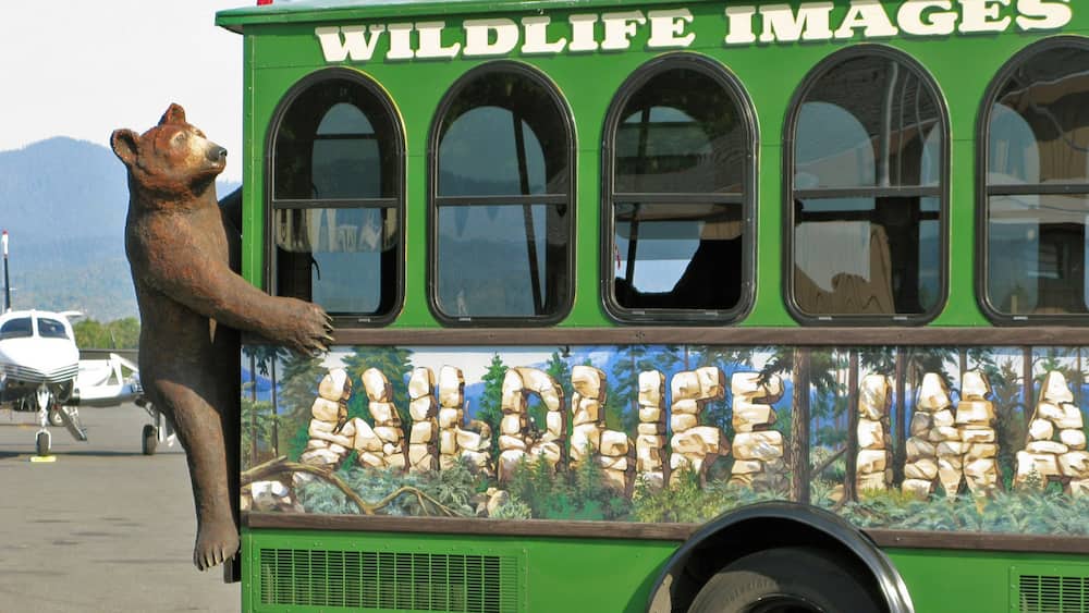 Merlin welches beinhaltet Beschilderung