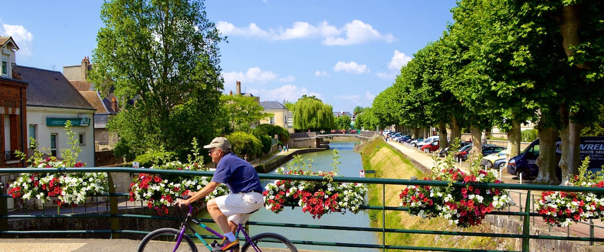 Montargis montrant riviĂšre ou ruisseau, pont et fleurs
