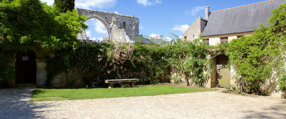 Prieure de St-Cosme showing a park and heritage elements