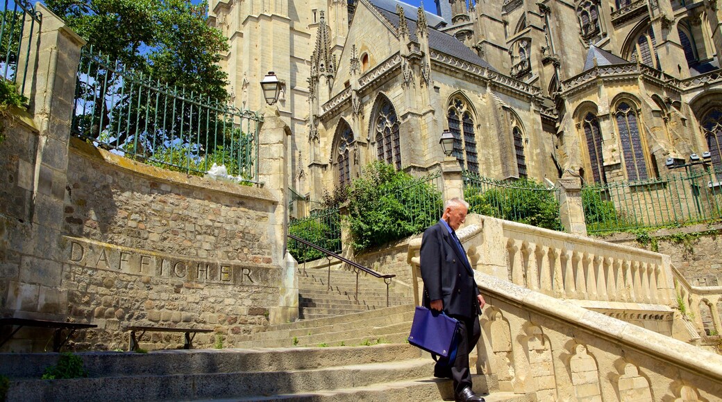 Le Mans - Sarthe showing heritage architecture and an administrative buidling as well as an individual male