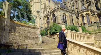 Le Mans - Sarthe showing heritage architecture and an administrative buidling as well as an individual male