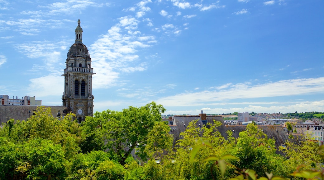 Le Mans featuring an administrative building, heritage architecture and a city