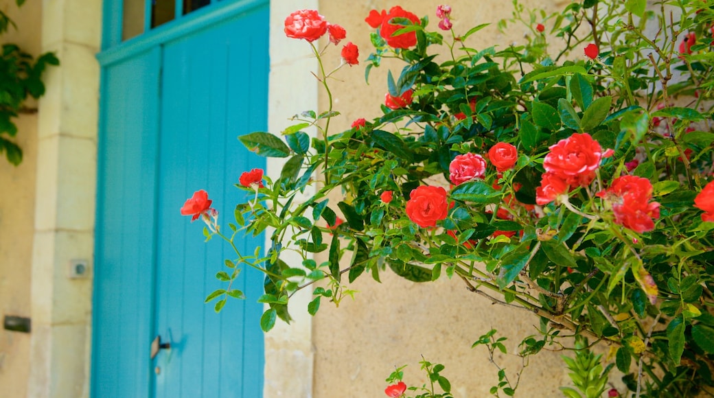 Le Mans mostrando flores y una casa