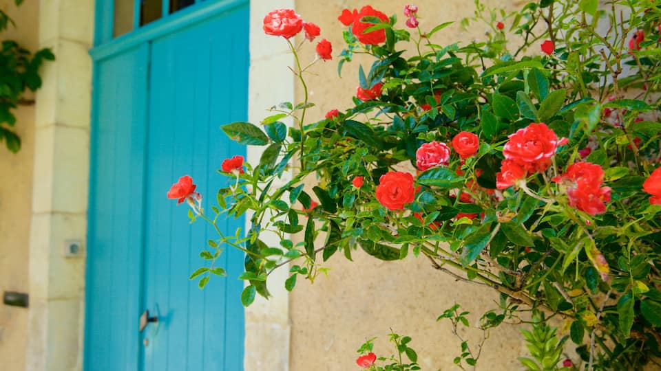 Le Mans che include fiori e casa
