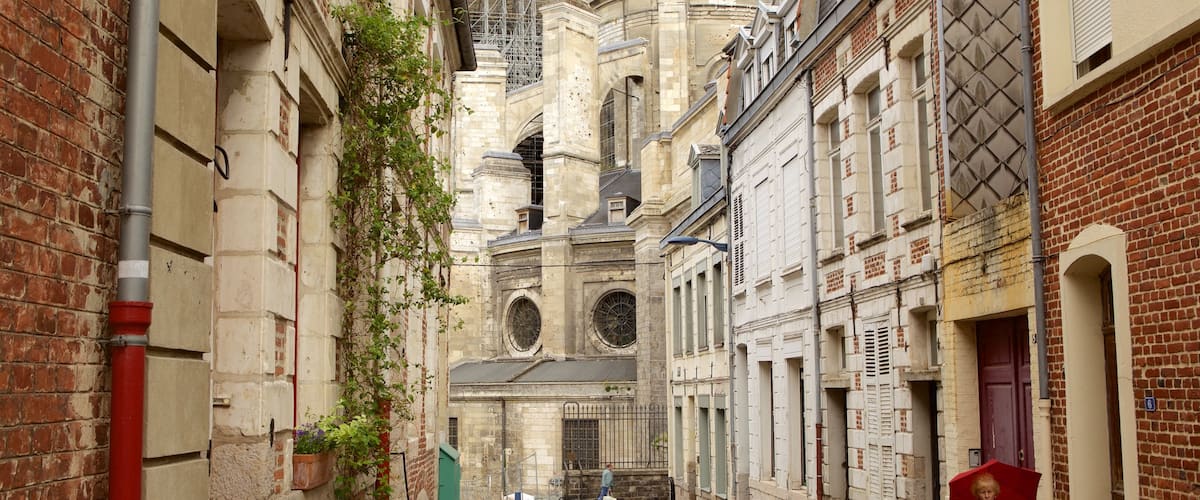 Arras featuring heritage elements and street scenes as well as an individual female