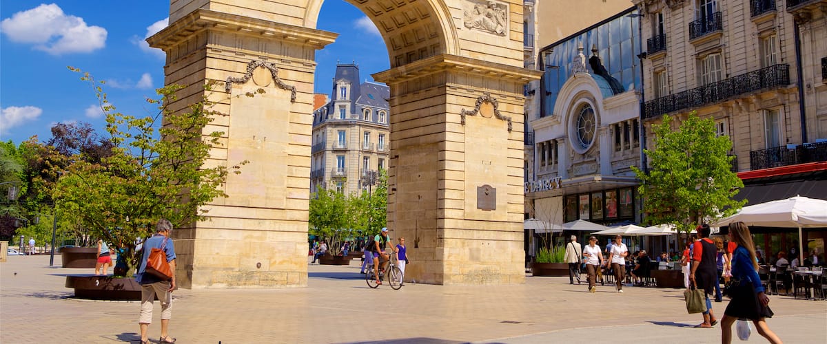 Dijon ofreciendo patrimonio de arquitectura, un parque o plaza y un monumento