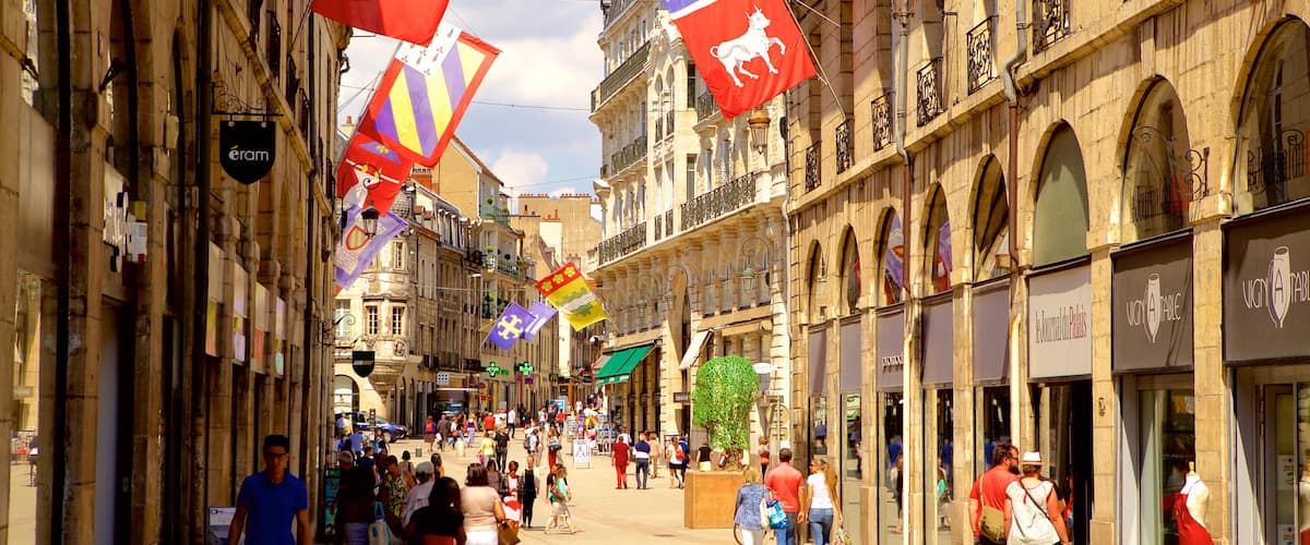 Dijon showing street scenes and heritage elements as well as a small group of people