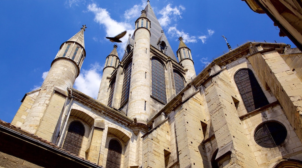 Notre Dame de Dijon som visar historiska element och en kyrka eller katedral