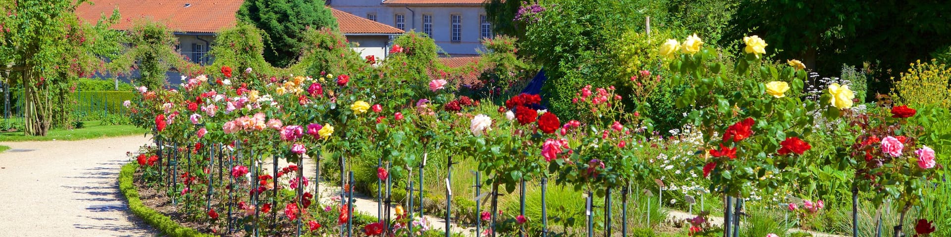 Thabor Botanic Gardens which includes flowers and a garden