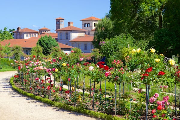 Parc du Thabor das einen Blumen und Park