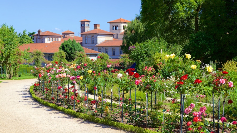 Jardines Botánicos de Thabor mostrando flores y un parque