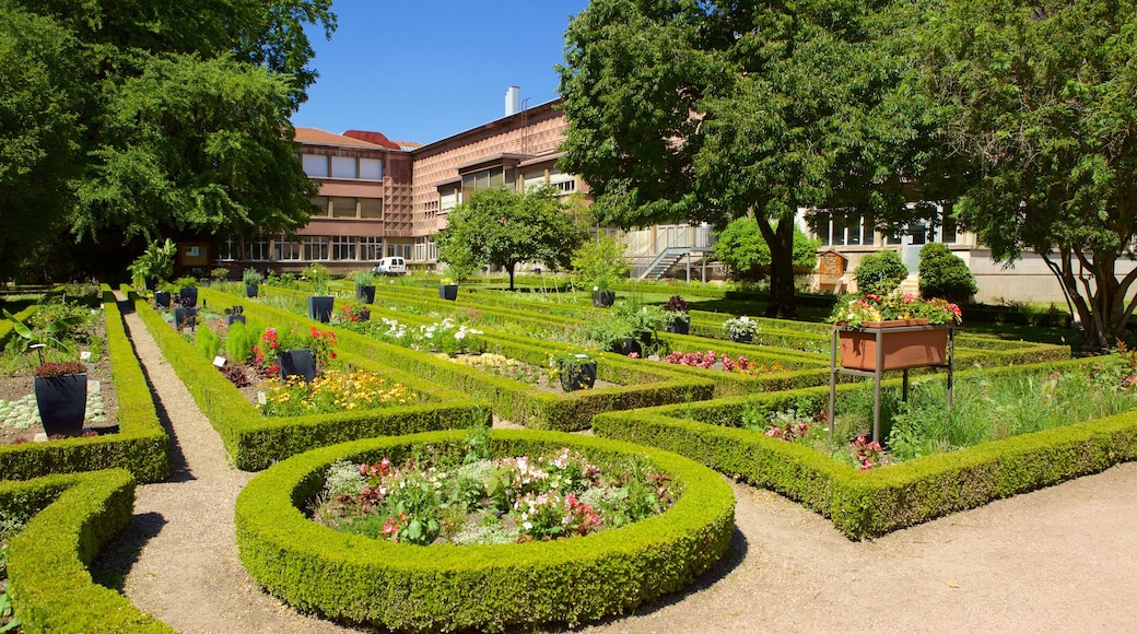 Musee Aquarium de Nancy som inkluderer hage