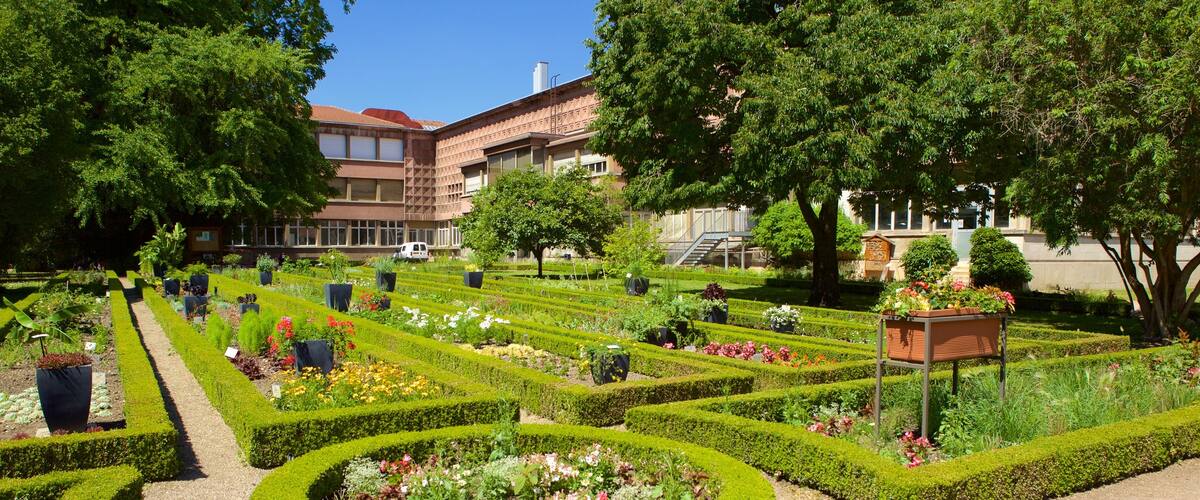 Musee Aquarium de Nancy which includes a park