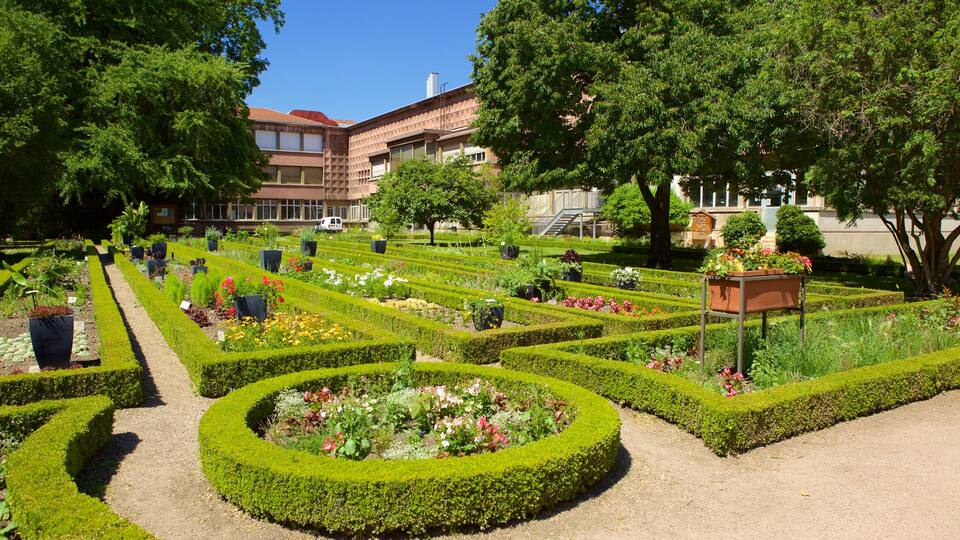 Musee Aquarium de Nancy showing a park