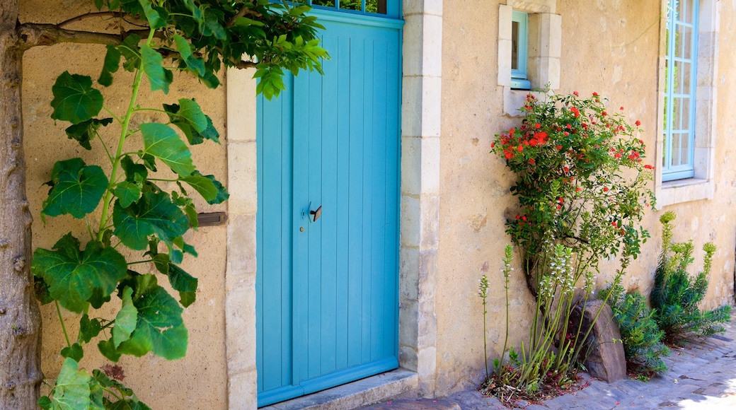 Le Mans montrant maison et fleurs