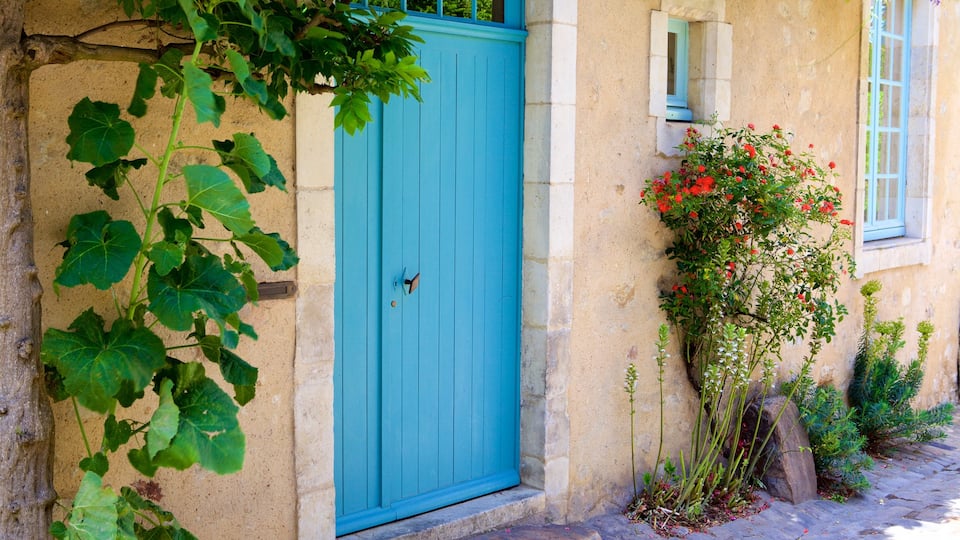 Le Mans che include casa e fiori