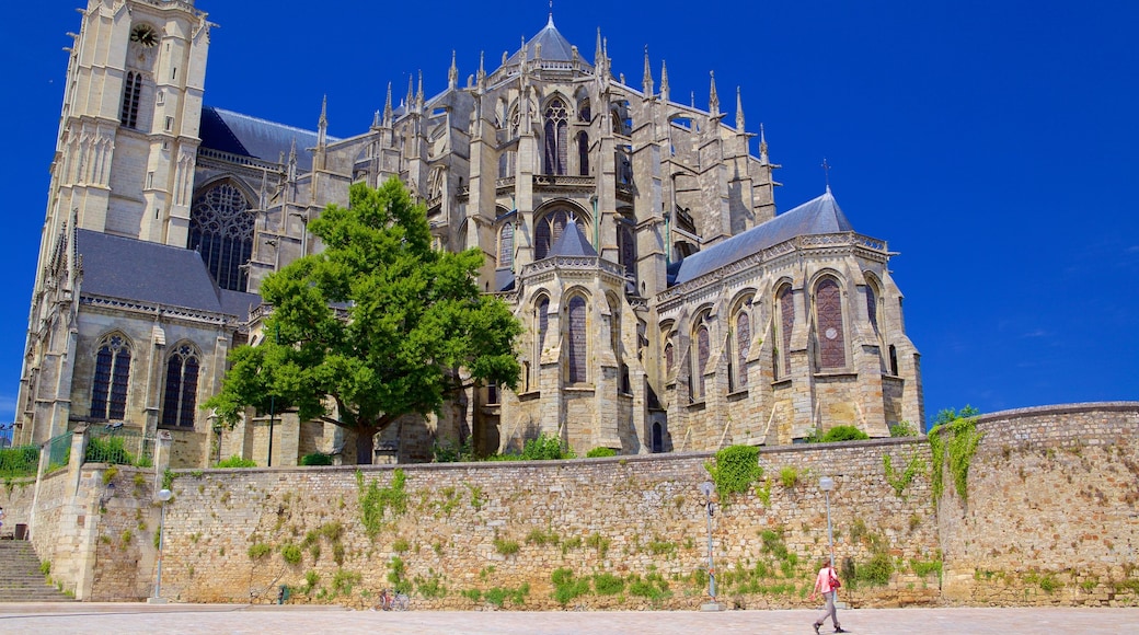 Le Mans featuring a church or cathedral, heritage elements and heritage architecture