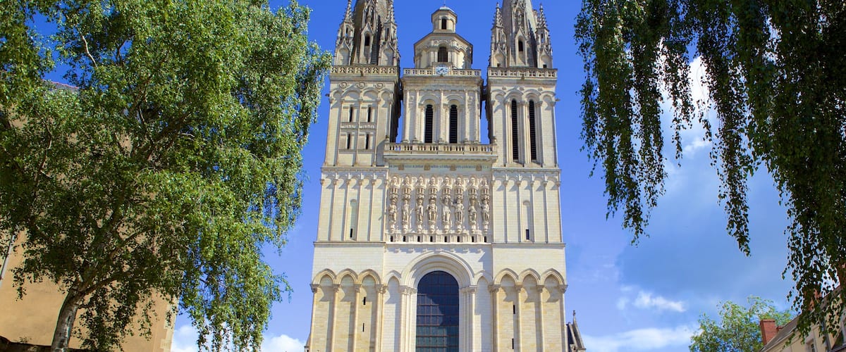Cathédrale d\'Angers mettant en vedette une église ou une cathédrale et éléments du patrimoine