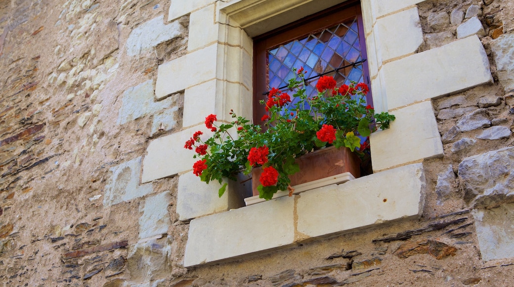 Angers mit einem Blumen