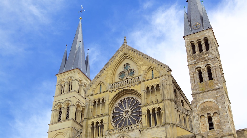 St. Remi Basilica showing heritage architecture and heritage elements