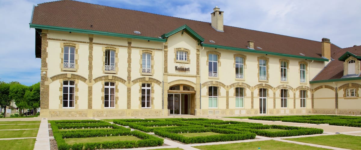 Ruinart showing a park