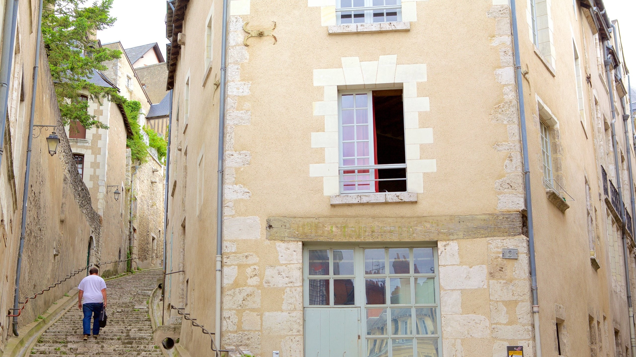 Blois qui includes maison aussi bien que homme