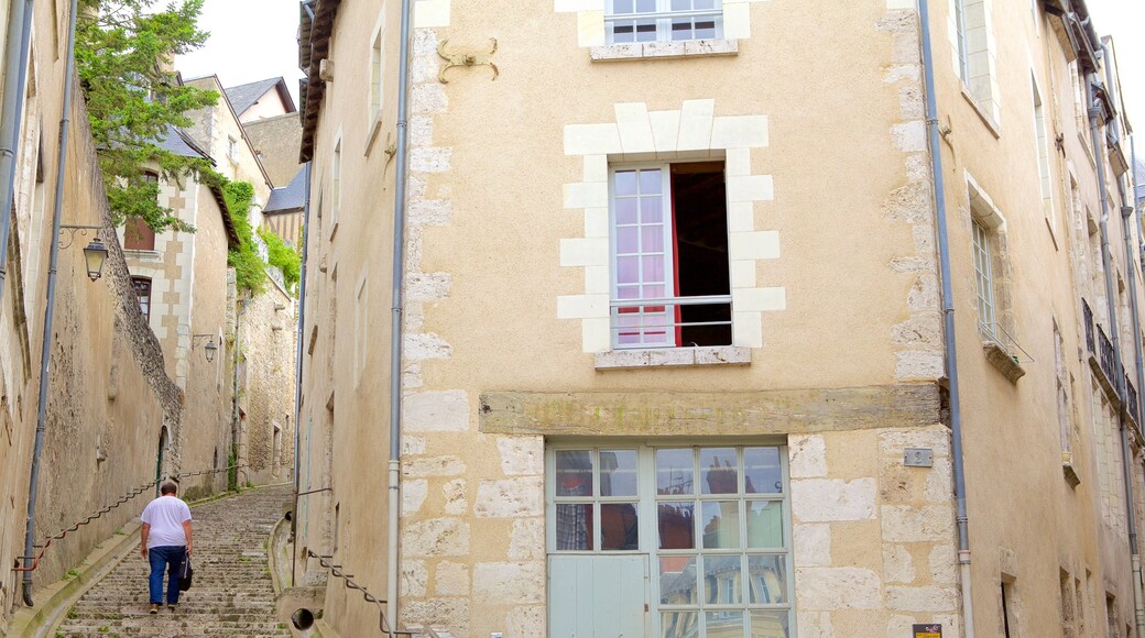 Blois which includes a house as well as an individual male