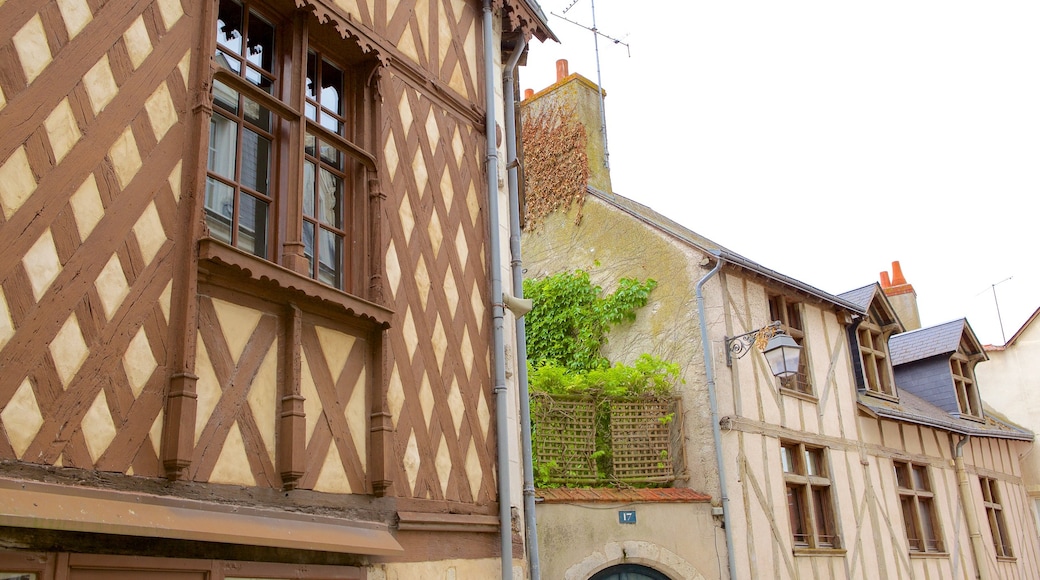 Blois featuring a house