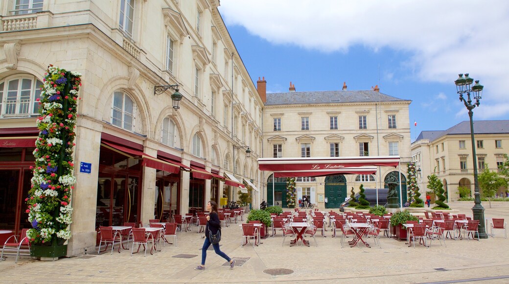 Orleans which includes outdoor eating and cafe lifestyle