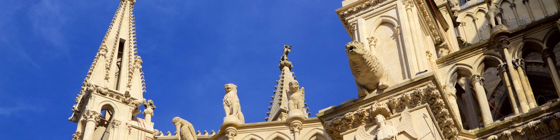 Reims Cathedral which includes a church or cathedral, heritage elements and heritage architecture