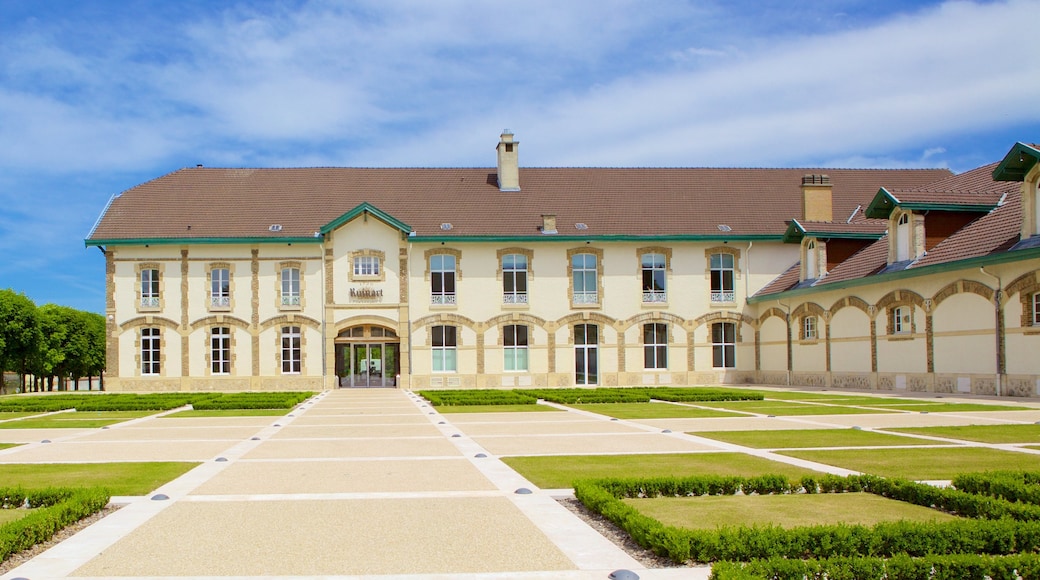 Ruinart featuring a park
