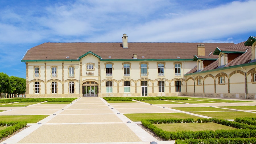 Ruinart caratteristiche di parco